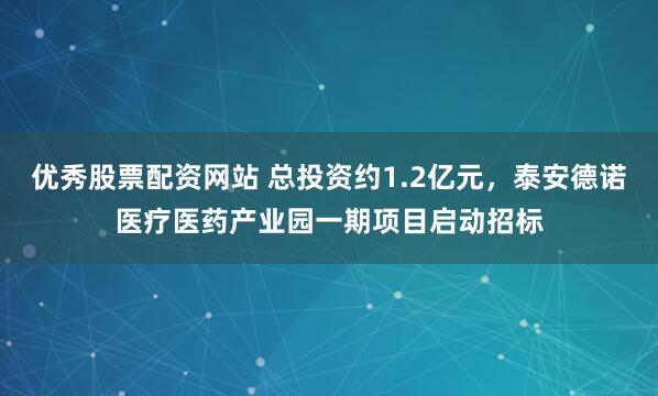 优秀股票配资网站 总投资约1.2亿元，泰安德诺医疗医药产业园一期项目启动招标